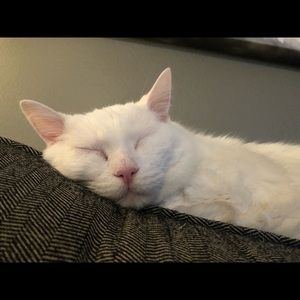 Meet your Posher, Ed